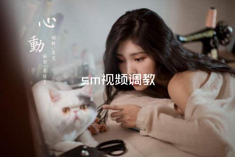 sm视频调教